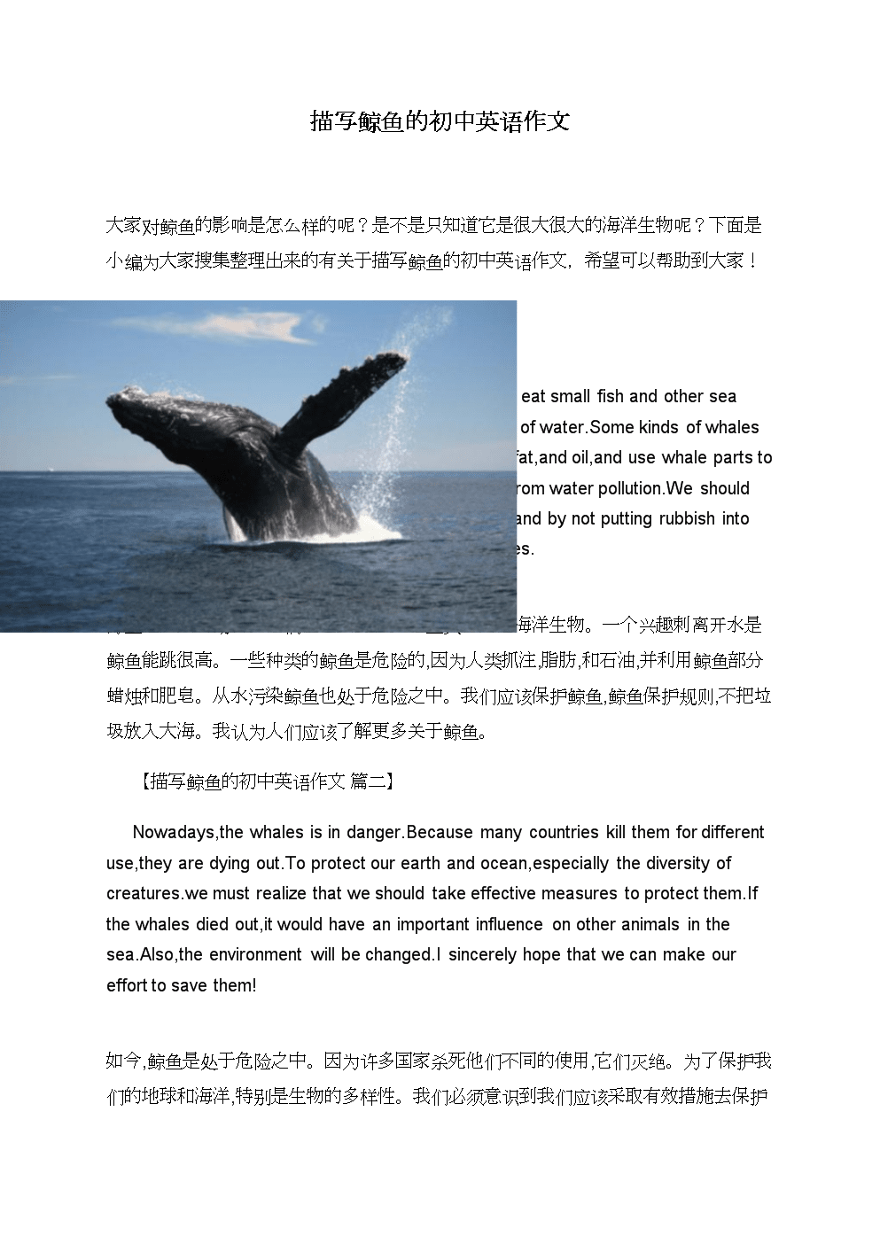 鲸鱼作文300字(鲸鱼作文300字说明文三年级)